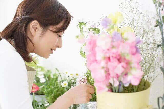 秋のエノコロの原産地、育て方、寄せ植え、花言葉