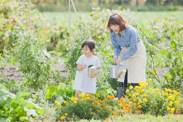 花を飾れば運気が上がる花風水の方法