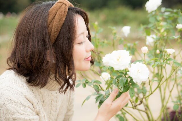 色とりどりのトルコキキョウの開運花風水